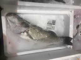 Lubina is a village and municipality in nové mesto nad váhom district in the trenčín region of western slovakia. Lubina Fresco Entero