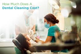 What is routine dental care insurance. What Is The Cost Of A Teeth Cleaning