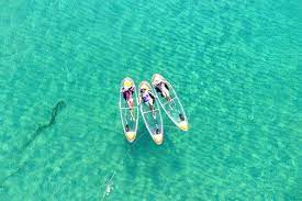 Kayaking Mangrove Tour gallery 3