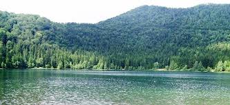 Lacul sfanta ana este o rezervatie naturala complexa, atat din punct de vedere geologic cat si in ceea ce priveste flora si fauna. Lacul Sfanta Ana Harghita Obiective Turistice Harta Romaniei