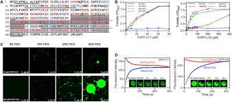 Low Complexity Domain Of U1 70k Modulates Phase Separation And Aggregation Through Distinctive Basic Acidic Motifs Science Advances