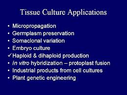First, there is the manipulation of dna, those impossibly long, impossibly second, there's the matter of transporting those genes into plant cells. Plant Tissue Culture What Is Plant Tissue Culture