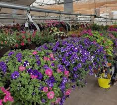 Visit your local bozeman, mt dollar tree location. Get To Know Visser Greenhouses Owenhouse Ace Hardware