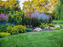 Lovely Russian Sage Garden Plants Sage Garden Outdoor Flowers Flowers Perennials