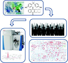 We did not find results for: Metabolomics A Tool To Characterize The Effect Of Phthalates And Bisphenol A
