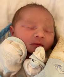 1 A Well Defined Body: