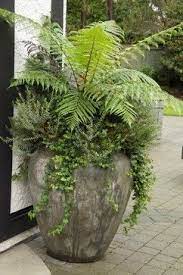 Potted artificial plants need no care, which makes them great for indoor home decor. Or Some Lush Ferns Several In A Row In Nice Tall Pots Looks So Stunning Garden Containers Container Gardening Plants