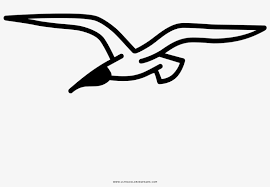 Color online with this game to color animals coloring pages and you will be able to share and to create your own gallery online. Seagull Coloring Page Free Transparent Png Download Pngkey