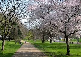 Hyde Park London England Irland Wales