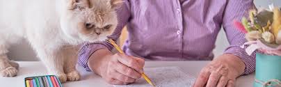 There are no sewing (all details are crochet in). Amazon Com Butts Bleps And Beans Cat Coloring Book 35 Coloring Pages For Adults 9781646118427 Preston Lizzie Books