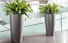 Decorare la propria casa con piante e fiori è una delle passioni degli italiani che amano arredarla con zone verdi che possano dare un tocco di colore e allegria ai vari ambienti. Vasi Da Interno Dedi