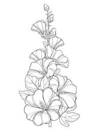 Bunch With Outline Alcea Rosea Or Hollyhock Flower Stem Bud Pencil Drawings Of Flowers Hollyhocks Flowers Flower Line Drawings