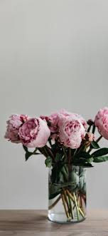 The wreath is delicately beautiful and quite feminine. This Simple Image Of A Bunch Of Peonies In A Vase Iphone X Wallpapers Free Download