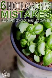 Maybe you would like to learn more about one of these? 6 Indoor Gardening Mistakes Beginners Should Avoid