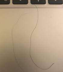 It's laid back, and it doesn't if you have coarse, black hair, keep it under control with a short afro. Coarse Wiry Hairs Sticking Out From Crown Mumsnet