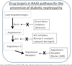 Pouleur a.с., uno h., prescott m.f., desai a. Pdf Renin Angiotensin Aldosterone System Raas Its Biology And Drug Targets For Treating Diabetic Nephropathy Semantic Scholar