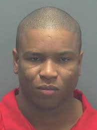 Lee County Arrests 11/24