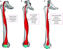 The cauda equina is the sack of nerve roots (nerves that leave the spinal cord between spaces in the bones of the spine to connect to other parts. 4 An Example Of Irreversible Conus And Cauda Equina Syndrome Who Download Scientific Diagram