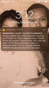 2 bodies connected to amber alert found in ditch in putnam county. Faiza Amin On Twitter Amber Alert Issued For 9 Month Old Magnolia Knox Reported Abducted By Ottawa Police
