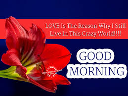 Good Morning Wishes For Wife Good Morning Pictures Wishgoodmorning Com We bring you some of the best good morning wishes, quotes, images and wallpapers. good morning wishes for wife good