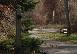 There's nothing worse than a driveway motion detector with so many false alarms you can't trust it. Wireless Outdoor Motion Detector Driveway Trespass Alert Systems Cape Cod Security
