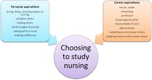 What should i include on an exemplar sheet? The Reasons Students Choose To Undertake A Nursing Degree Collegian