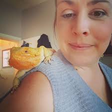 Stanley House Veterinary...