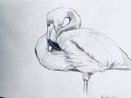 Black And White Bird Florida Pin On Art