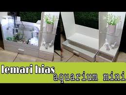 Pin Di Jardin