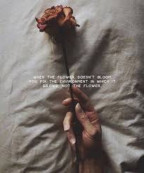 137 Exclusive Rose Quotes To See Life Differently Bayart