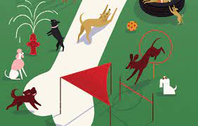 This issue focuses on respiratory disorders of fishes, reptiles, avian, and exotic companion mammals. Five Portland Vet Services You Need To Know Portland Monthly