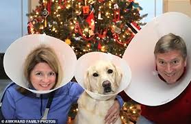 Maybe you would like to learn more about one of these? Freedomroo People Share Their Awkward Festive Photos Including Posing Naked And Matching Outfits With The Dogs Australiannewsreview