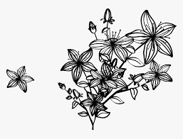 Are you looking for black flowers png psd or vectors? Black And White Flowers Png Transparent Png Kindpng