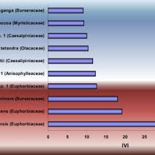 Image result for Strephonema mannii