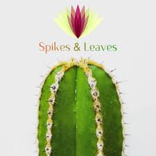 Leaves take a lot of mantienence, they require a lot of water, and they. Spikes Leaves Ph Posts Facebook
