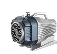 DS Dry Pump Series | US Vacuum Pumps