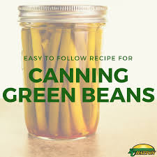 Next, swish them around in the water, then rinse in another batch of clean cold water. Canning Green Beans R C Hatton Farms