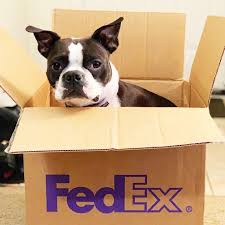 Fedex offers dependable solutions for your shipping needs! Fedex They Re Door Greeters Treat Eaters And Best Facebook