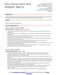 Cv examples see perfect cv samples that get jobs. Senior Internal Auditor Resume Samples Qwikresume