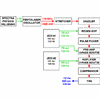 It can represent a diagnostic dilemma and may be mistaken for a malignant neoplasm, such as mucoepidermoid carcinoma. Phys Rev St Accel Beams 11 030703 2008 Commissioning The Linac Coherent Light Source Injector