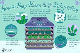 Free shipping on prime eligible orders. Drying Herbs With A Food Dehydrator