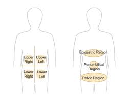 Abdominal Pain Bonheur Md Gastroenterologist