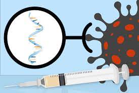 We've gathered links to public resources to help you stay informed. Explained Why Rna Vaccines For Covid 19 Raced To The Front Of The Pack Mit News Massachusetts Institute Of Technology