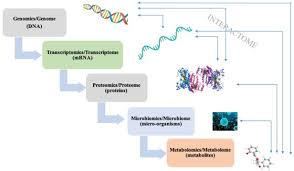 Aug 08, 2018 · 2018 esc/esh guidelines for the management of arterial hypertension the task force for the management of arterial hypertension of the european society of cardiology and the european society of hypertension Frontiers The Association Between Intestinal Bacteria And Allergic Diseases Cause Or Consequence Cellular And Infection Microbiology