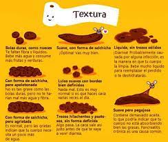 Pin En Necesario