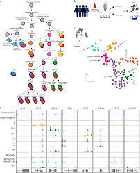 landscape of stimulation responsive chromatin across diverse