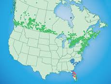 Click to get directions link opens in new tab. Td Bank Approach To Corporate Responsibility