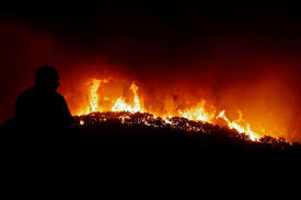O treino operacional do dispositivo especial de combate a incêndios rurais (decir) do algarve visou a preparação dos bombeiros para o período de maior empenhamento que se avizinha, que coincide também com o aumento do risco de incêndio. Incendio Em Monchique Faz 24 Feridos Um Em Estado Grave Atualidade Sapo 24
