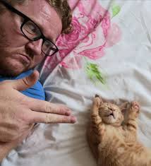 Send in your cat pictures for International Cat Day