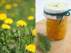 Kitchen Vignettes By Aubergine Dandelion Marmalade Dandelion Recipes Flower Food Dandelion